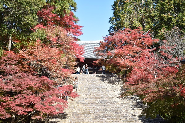 神護寺の本殿前の坂