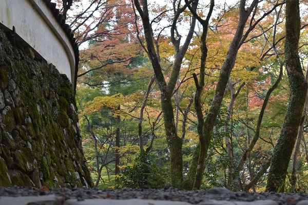 高山寺の入り口付近の画像